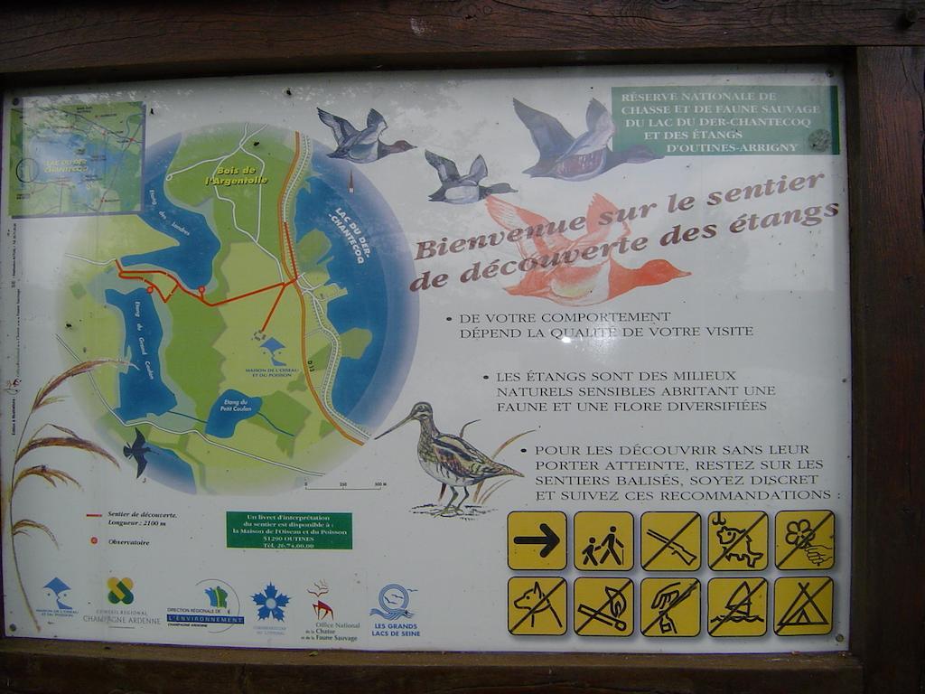 Insolite 