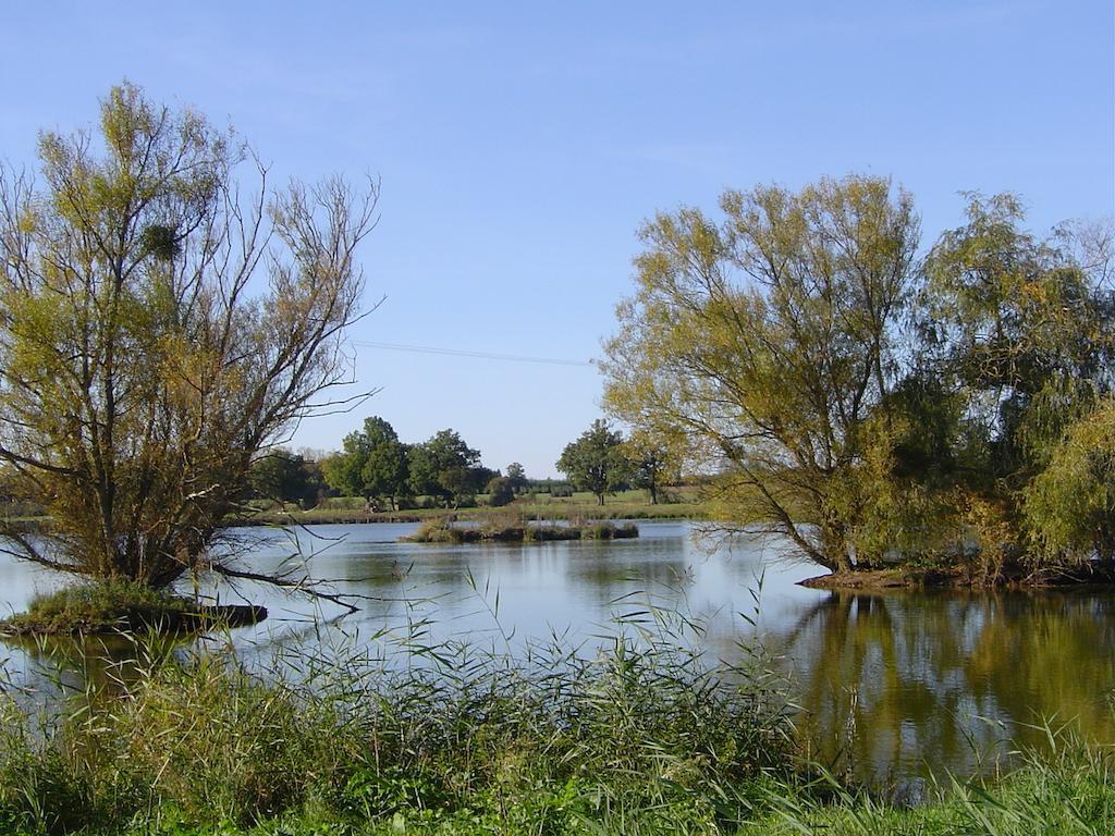 Hébergement de vacances Insolite La Roulotte Des Elfes, Au Milieu De Nulle Part Outines