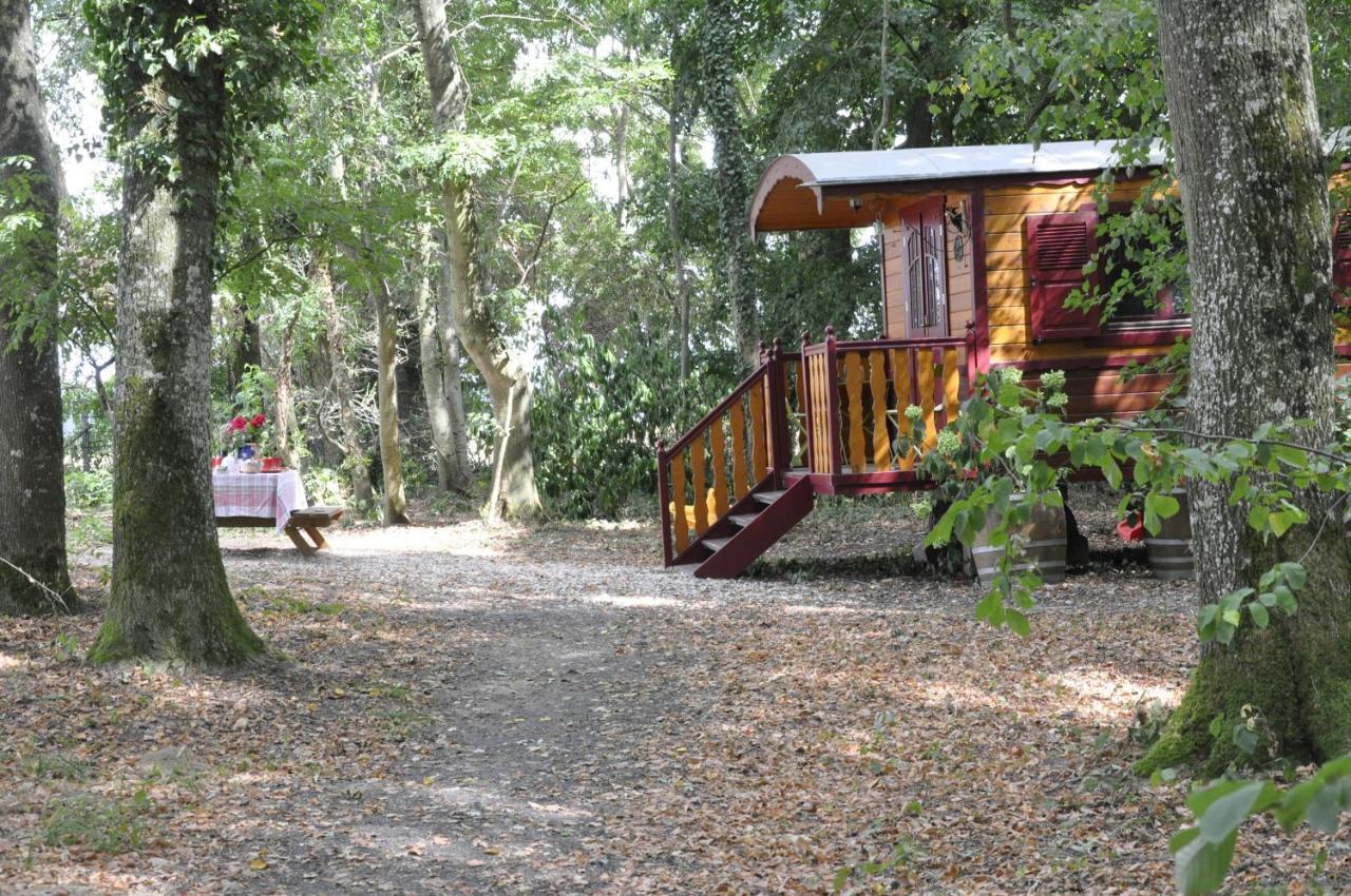Insolite La Roulotte Des Elfes, Au Milieu De Nulle Part Hébergement de vacances